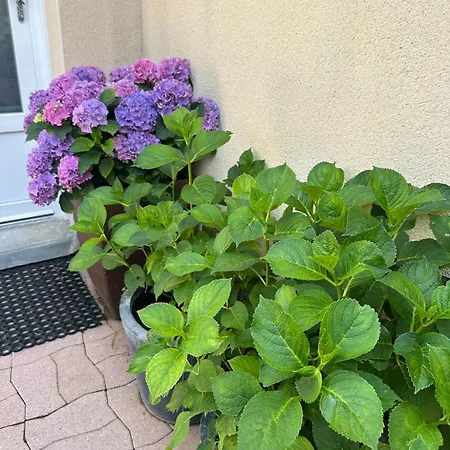 Maisonette Saint-Parres-aux-Tertres