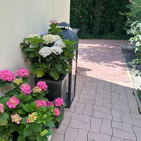 Maisonette 펜션 Saint-Parres-aux-Tertres